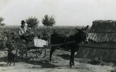 Priča o fotografiji: Pudar